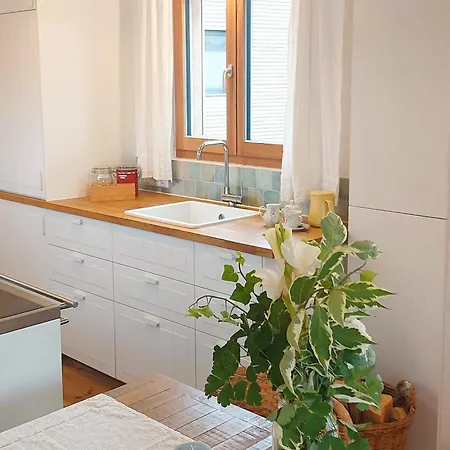 Tiny Haus 