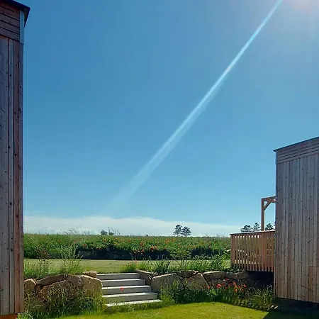 Tiny Haus 